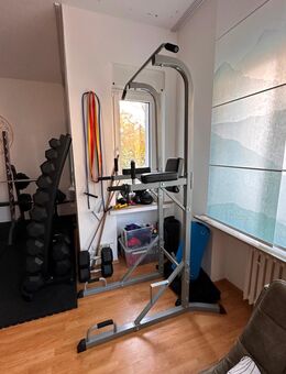 Klimmzug, Triceps dip und Bauch Trainer - Essen