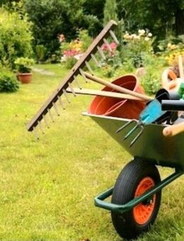 Gartenhelfer,Gartenpflege,Gartenarbeit,Gartenservice, Gartenhilfe - Stuttgart