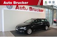 VW Golf Variant, 1.6 TDI VII Comfortline 2-Zonen, Jahr 2019 - Schmalkalden