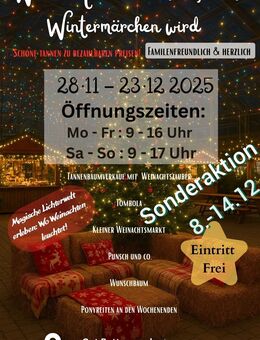 Tannenbaumverkauf, Weihnachtsbäume,Nordmanntannen - Jürgenstorf