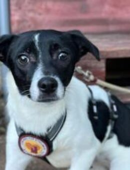 Herta ist eine zarte, feinfühlige junge - München