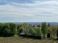 Balkon mit traumhafter Aussicht in den Weinbergen Radebeuls - Radebeul