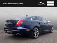 Jaguar XJ 50, ACC, Meridian, DAB,360Cam, Toter-Winkel-W - Bruchköbel