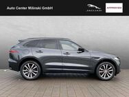 Jaguar F-Pace F-PACE P250 R-Dynamic SE,PanoSD,AHK,ACC,WinterP - Bruchköbel