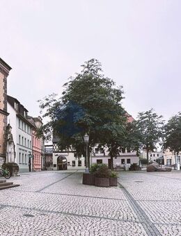 Wohn- und Geschäftshaus in Zentrumslage - Rathaus und Marktplatz - Calbe (Saale)