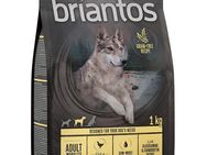 Briantos Adult Mobility Huhn & Kartoffel - GETREIDEFREIE Rezeptur - 1 kg
