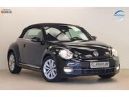 VW Beetle Cabrio 1.2 105PS Design ALLSTAR Navi RCAM - Teltow