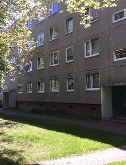 Mitten drin statt nur dabei: 2-Zimmer-Wohnung - Kassel