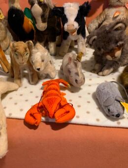 Steiff Sammlung 16.St alle zusammen - Köln