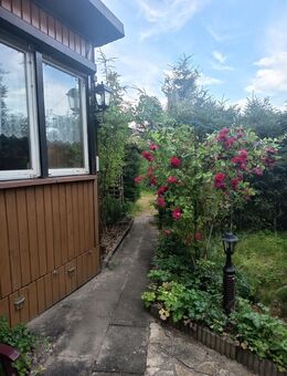Pachtgrundstück mit Bungalowhäusschen -Teichlandschaften Plothen / Dreba - Dreba