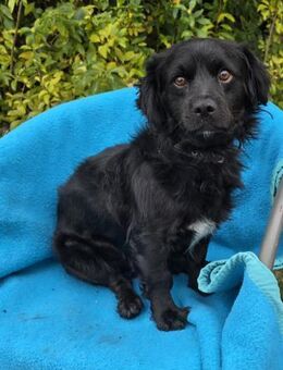 Schöner und lieber Oskar - Berlin