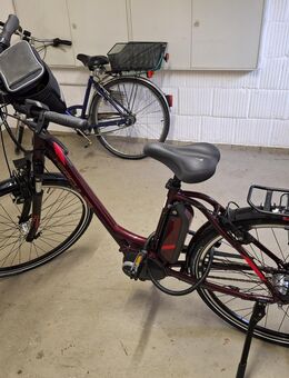 Damen E- Bike - Rotenburg (Fulda)