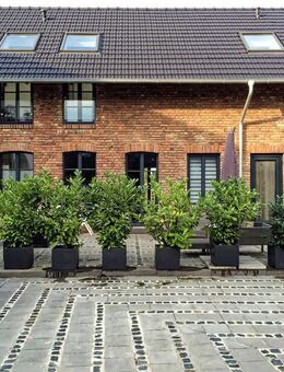 LOFT im luxuriös sanierten Gutshof, 134 qm, 2 SZ, Bad, WC, EBK, Garten&Terrassen, Garage &Stellplatz - Erftstadt