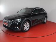 Audi e-tron 55 quattro 415,-ohne Anzahlung AHK Pano B - Horn-Bad Meinberg