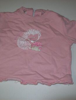 Babypullover - Erwitte