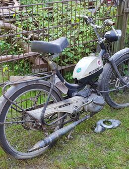 Moped Sachs Libelle Saxonette Automatik Bj.1965 (Nur Abholung) - Rosenheim