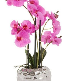 Kunstpflanze Orchidee Orchidee, Leonique, Höhe 55 cm, Kunstorchidee, im Topf, Bestseller, über 2500 4,5-Sterne-Bewertungen
