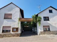 MFH mit Halle (ehemaliger Bauernhof) technisch i.O., gut vermietet in Welgesheim zu verkaufen - Welgesheim