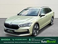 Skoda Superb, 2.0 TDI Combi 110kW Selection, Jahr 2024 - Heiligenstadt (Heilbad) Zentrum