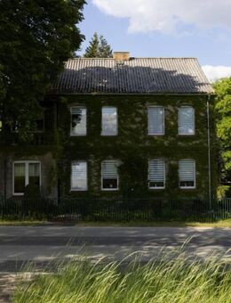 Ländliches Idyll mit Potenzial - Ehemalige Gärtnerei mit großem Grundstück nahe Lübsdorf! - Lübstorf
