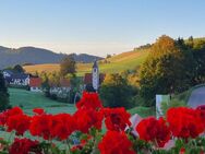 www.bergblick-schwarzwald.de - Schopfheim