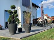 Stadnah, aber doch ruhig! Ideal für Familien! - Bassenheim
