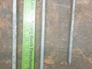 Leichtbauplattennägel, Nägel für Sauerkrautplatten, Leichtbauplattenstifte - Winsen (Aller)