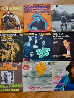26 Single-Schallplatten - Hilden