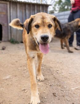 sanfte & menschenbezogene PRAHA - Kallmünz
