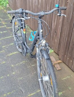 Damen Fahrrad / Pegasus - Florstadt