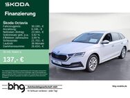 Skoda Octavia, 2.0 TDI Combi Style, Jahr 2023 - Freiburg (Breisgau)