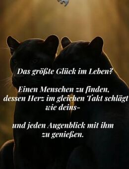 Zweisamkeit genießen ..... - Elmshorn