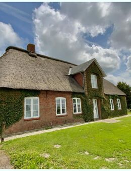 Halbinsel Eiderstedt: Solides Reetdachhaus mit großem Nebengebäude ! Optional Hallenzukauf möglich ! - Oldenswort