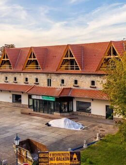 Tradition trifft Moderne - Einzigartige Wohnungen in Ermsleben (3) - Falkenstein (Harz)