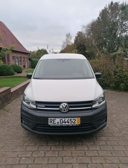 Volkswagen Caddy Maxi 1,4 TGI, Benzin/CNG, Sortimo-Regale, Sitzheizung, Tempomat, AHK, LKW-Zulassung und Vieles mehr - Friedrichsholm