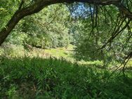 unweit Auffahrt A5 Ladenburg/Schriesheim zum Kauf 2(Traum)Grundstücke im schönen Odenwald - Heiligkreuzsteinach