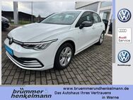 VW Golf, 2.0 TDI VIII Life AppConnect, Jahr 2021 - Werne