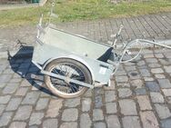 Moped Anhänger - Huy