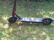 E-Roller Mi Electric Scooter Pro 2 - Halle (Saale)