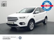 Ford Kuga, EcoBoost Titanium 4x2, Jahr 2019 - Leverkusen