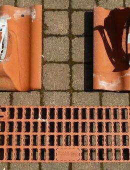 Braas Harzer Pfanne mit Sicherheitstritt - Bad Bodenteich