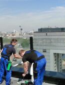 Glasreinigung aller Art in 22767