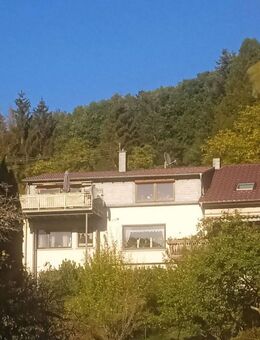 Haus mit schönem Grundstück, Mehrfamilienhaus - Idar-Oberstein