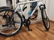 Fahrrad Focus Cypress 28zoll Rahmenhöhe 55cm - Bietigheim-Bissingen