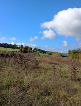 pachtwiese - Werneck