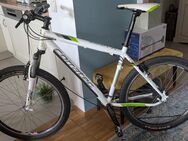Corratec Herren Mountainbike Hardtail X-Vert Motion - München