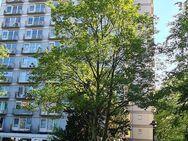 Unverbaubarer Weitblick-Mitten im Tiergarten-- Hansaviertel--1 Raumwohnung mit Balkon im 9.OG-Klimaanlage, frisch renoviert- westlich ausgerichtet-- - Berlin