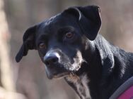 Lilith, Black Pearl sucht nach Familie - Lich