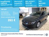 VW Golf, 1.0 TSI VIII Life Gar2029, Jahr 2024 - Mannheim