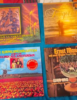 Über 50 Schallplatten günstig abzugeben - Speyer